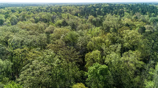 $196,586 | 0 Hwy 49 Jefferson Tx 75657, Jefferson, TX 75657