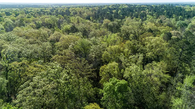 $196,586 | 0 Hwy 49 Jefferson Tx 75657, Jefferson, TX 75657