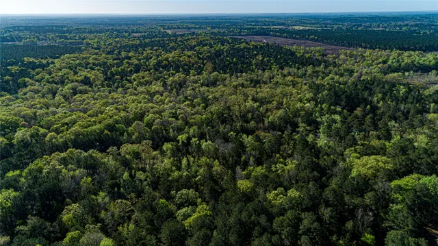 $196,586 | 0 Hwy 49 Jefferson Tx 75657, Jefferson, TX 75657