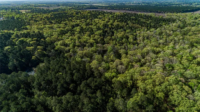 $196,586 | 0 Hwy 49 Jefferson Tx 75657, Jefferson, TX 75657