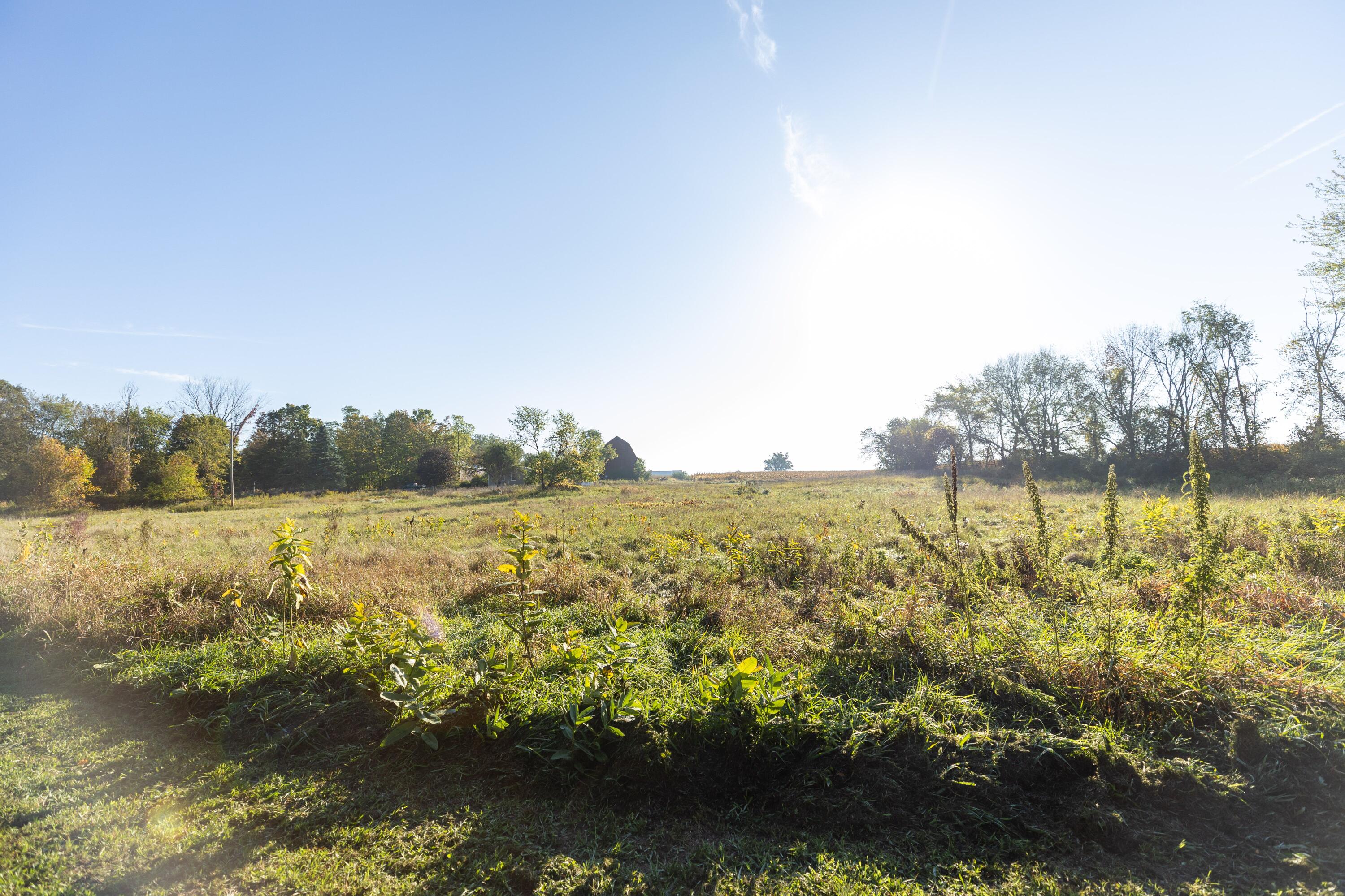 1882 East Peck Lake Road Ionia, MI 48846 - Photo 9 of 56 1882PeckLakeRd-77