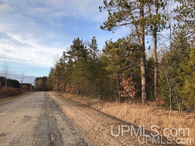 T-wi Wi 54156 Road Pembine, WI 54156 - Photo 2 of 4 Gallery Image 2