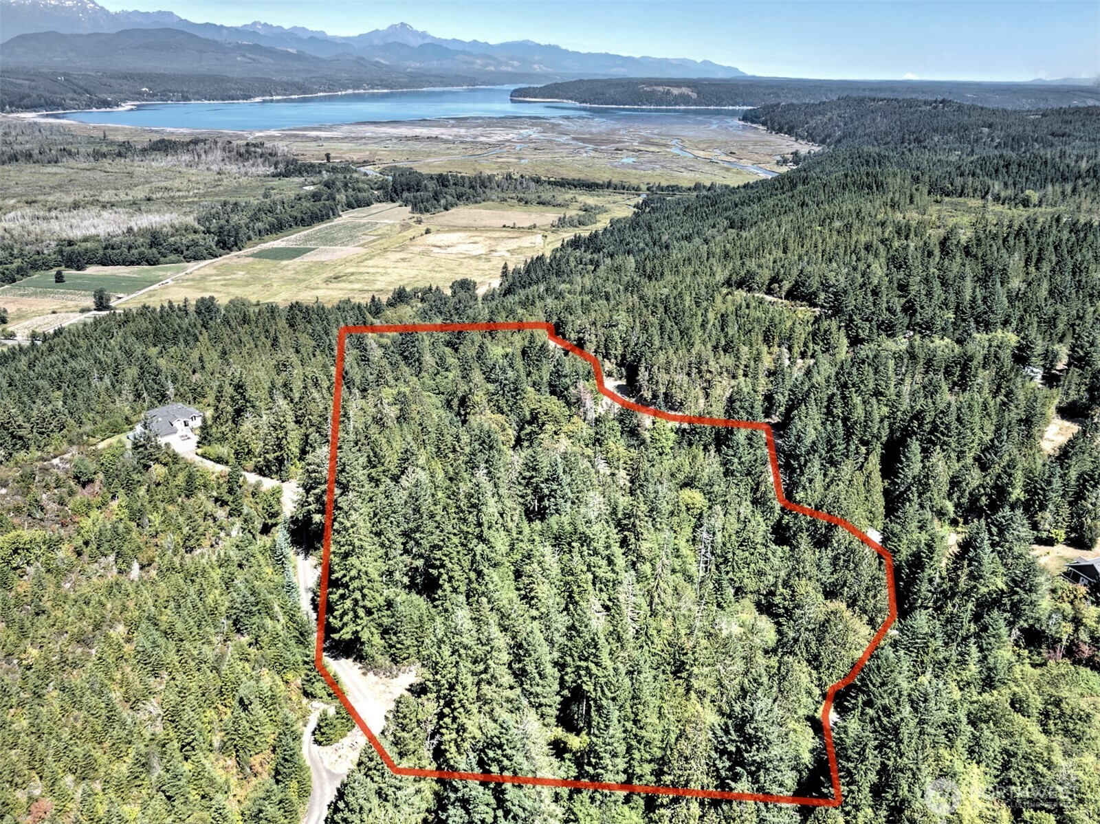 12-acres East Webb Hill Road Union, WA 98592 - Photo 11 of 12