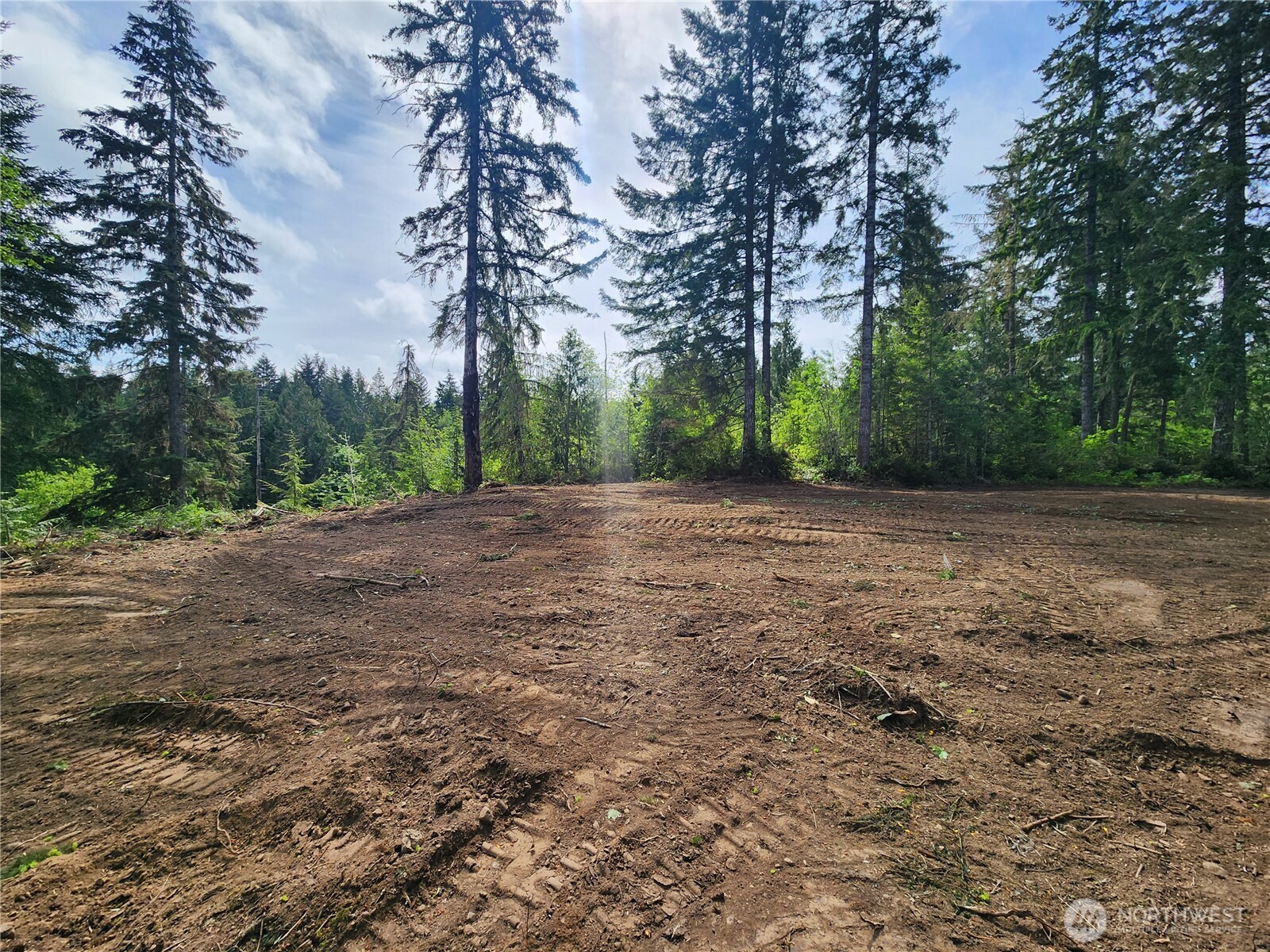 12-acres East Webb Hill Road Union, WA 98592 - Photo 17 of 19