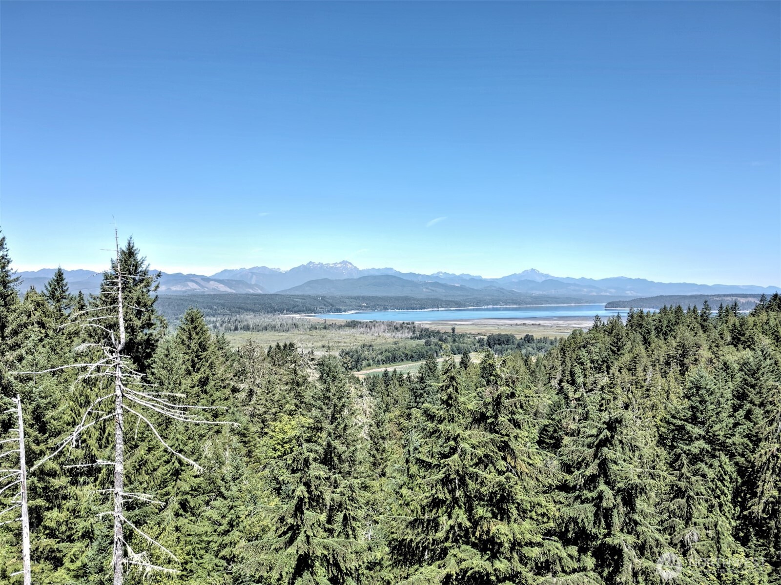 12-acres East Webb Hill Road Union, WA 98592 - Photo 3 of 12