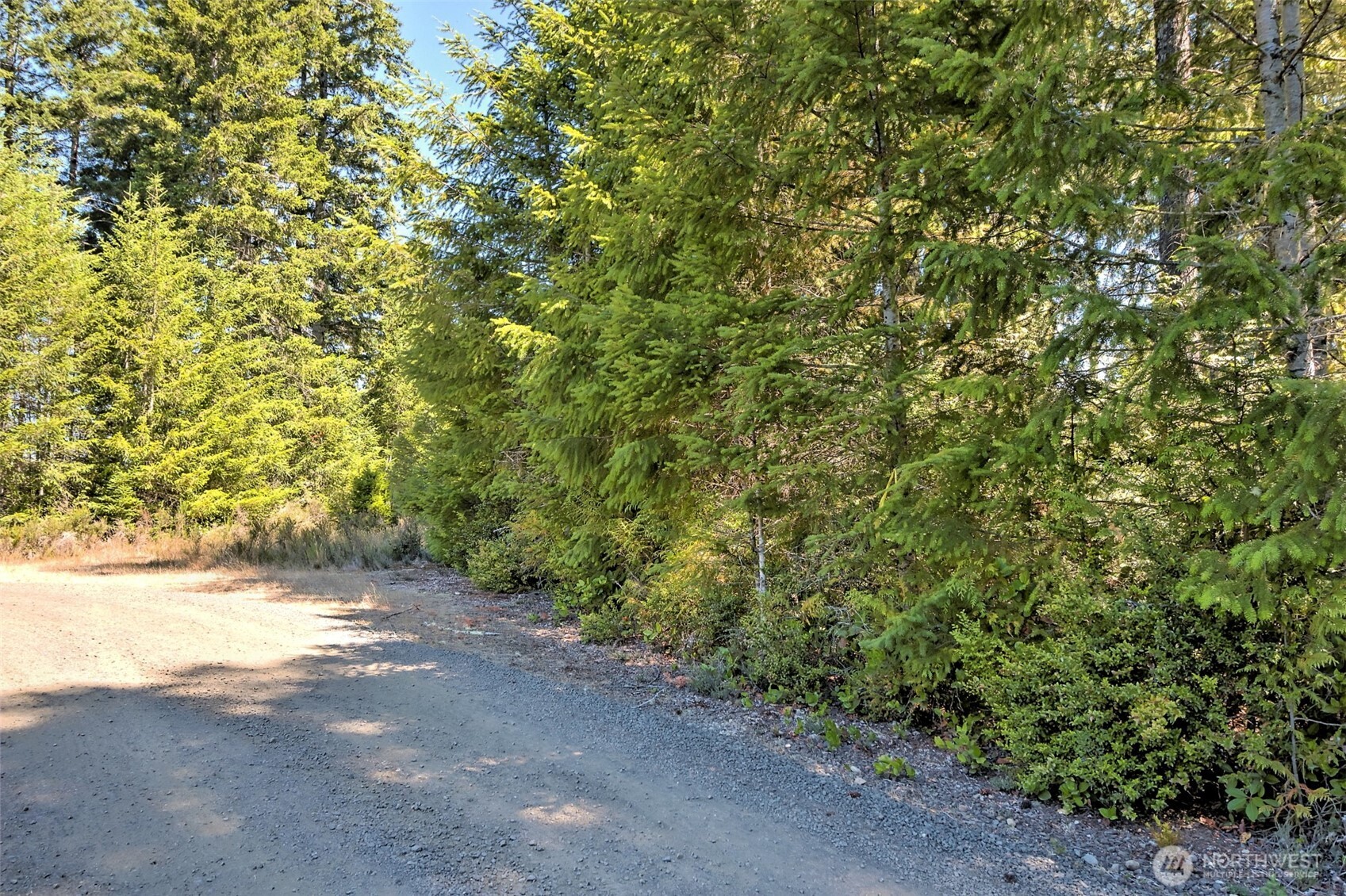 12-acres East Webb Hill Road Union, WA 98592 - Photo 6 of 19