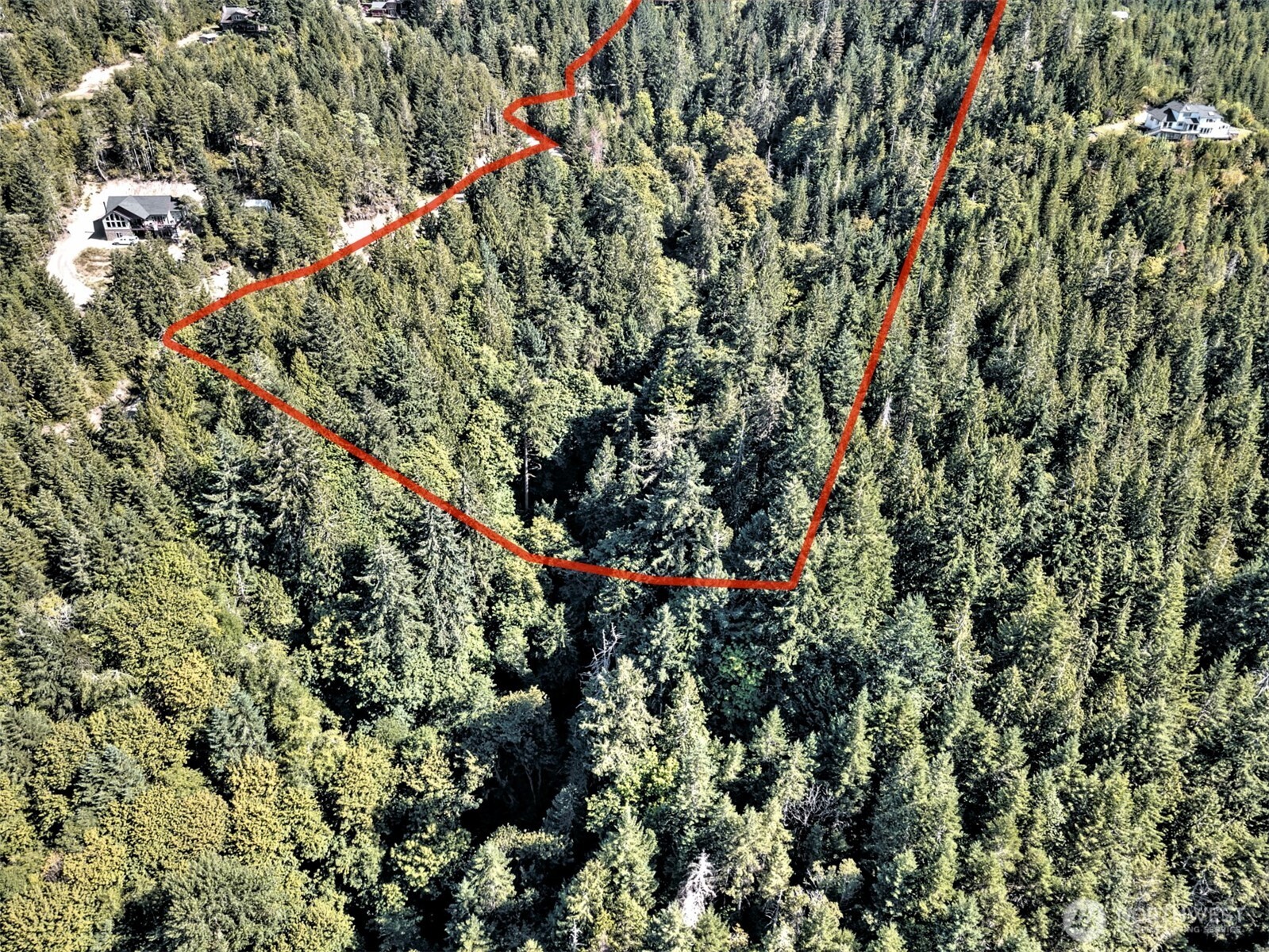 12-acres East Webb Hill Road Union, WA 98592 - Photo 8 of 12