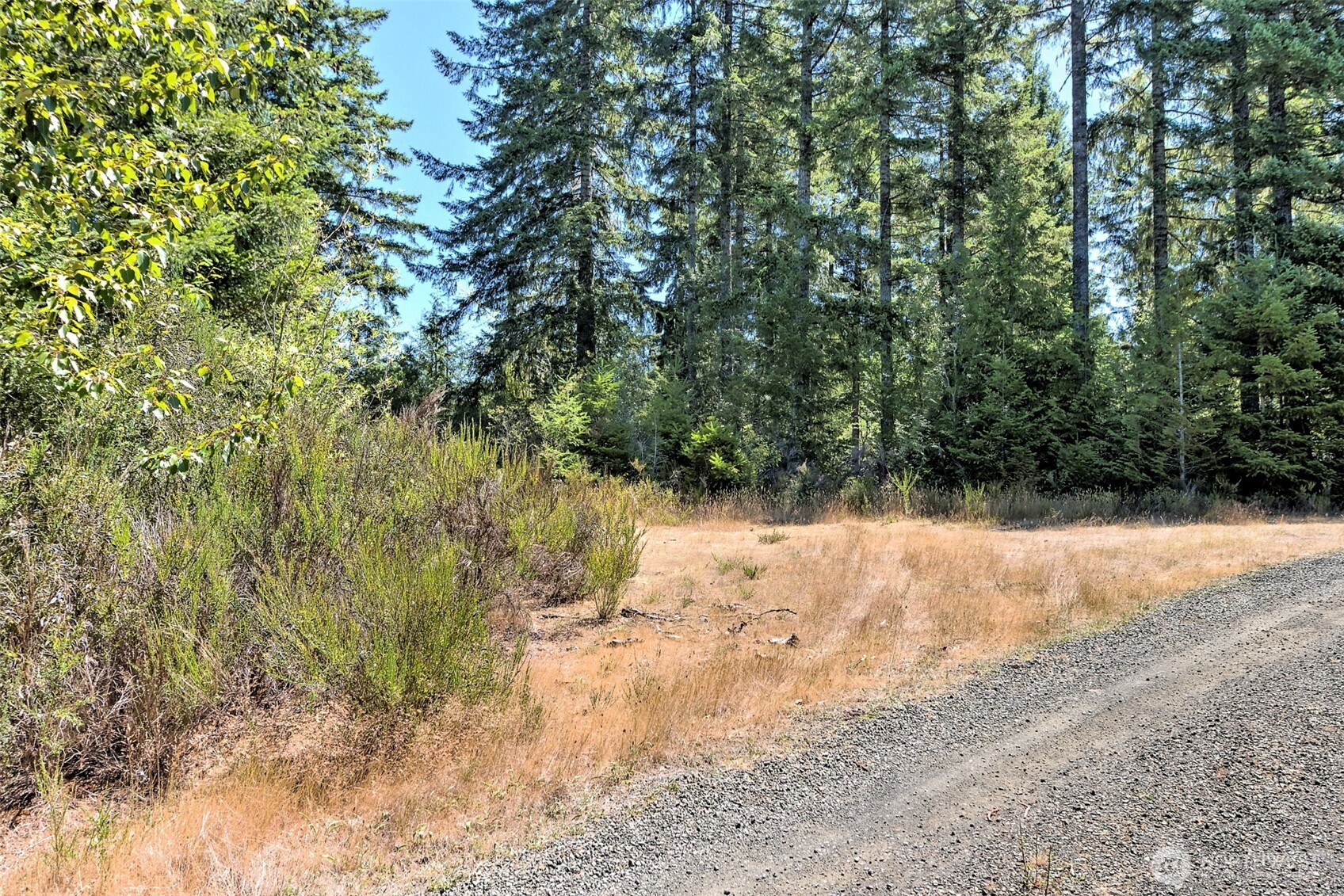 12-acres East Webb Hill Road Union, WA 98592 - Photo 8 of 19