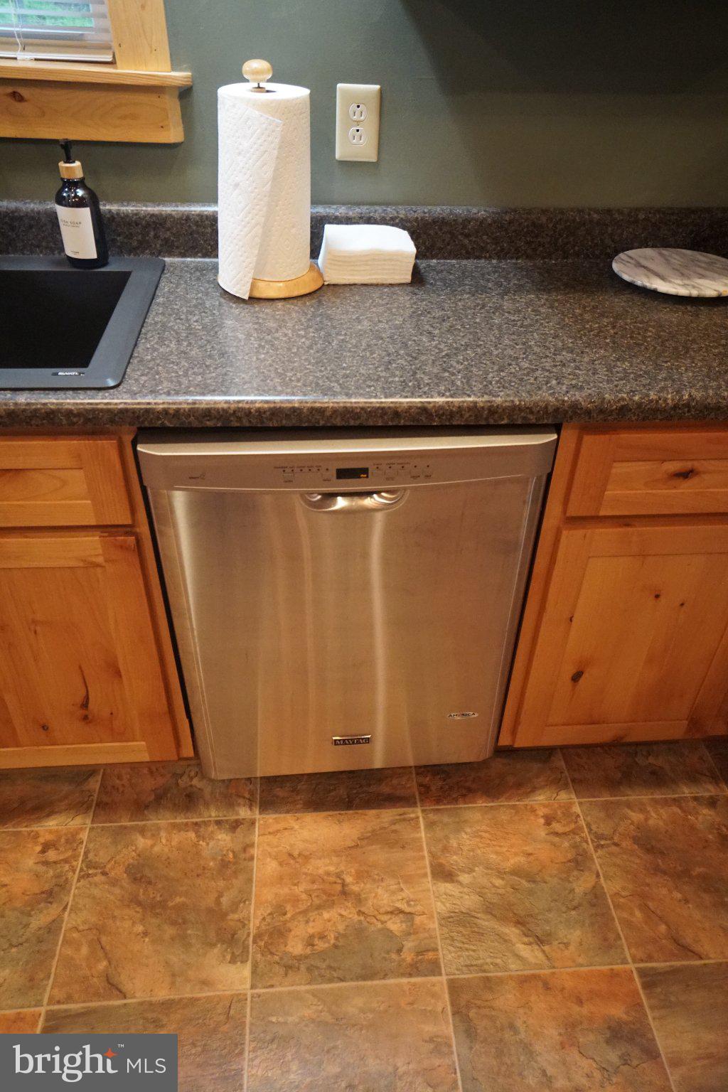 150 Sharp Ridge Lane Franklin, WV 26807 - Photo 40 of 69 Sleek stainless steel dishwasher charm.
