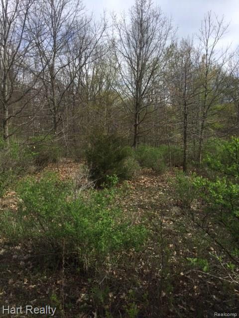 0 South Reese Road Frankenmuth, MI 48734 - Photo 13 of 15