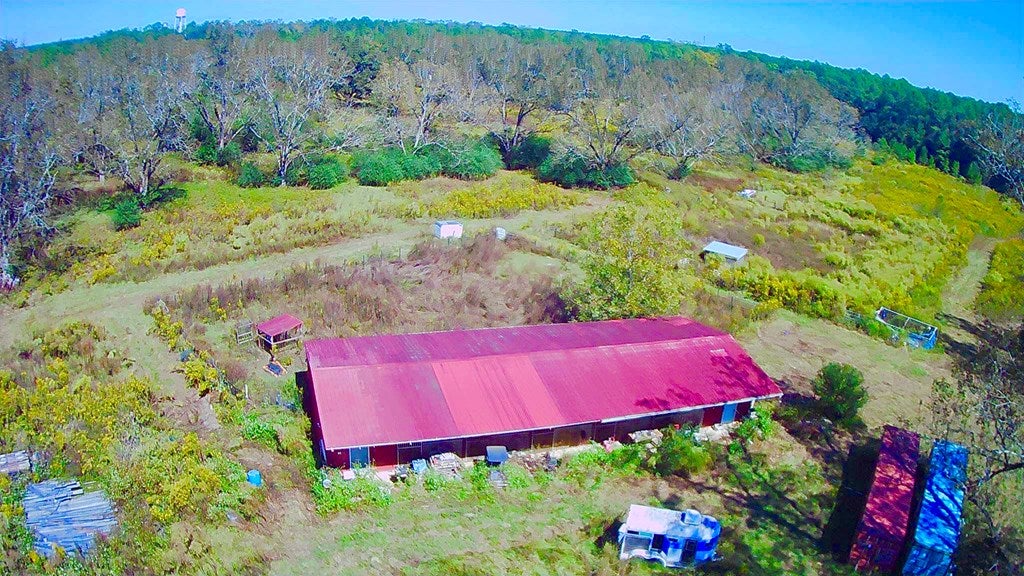 5236 Stewart Road Ochlocknee, GA 31773 - Photo 13 of 19 Gallery Image 13