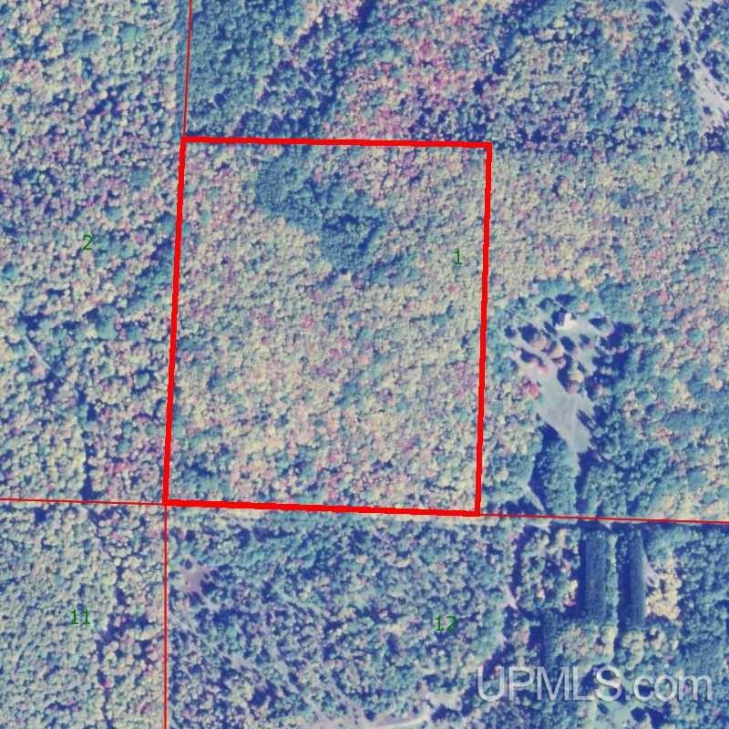 Tbd West Heinola Road Atlantic Mine, MI 49931 - Photo 17 of 17