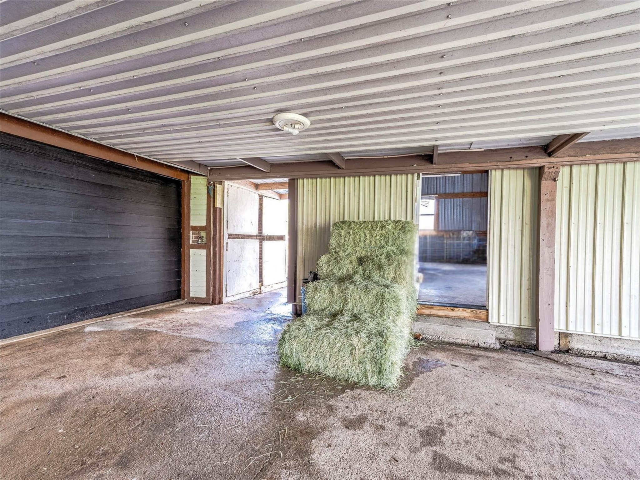 1619 County Road 387 Rosharon, TX 77583 - Photo 5 of 49 Perspective from the covered carport showing the side entrance to the metal workshop.