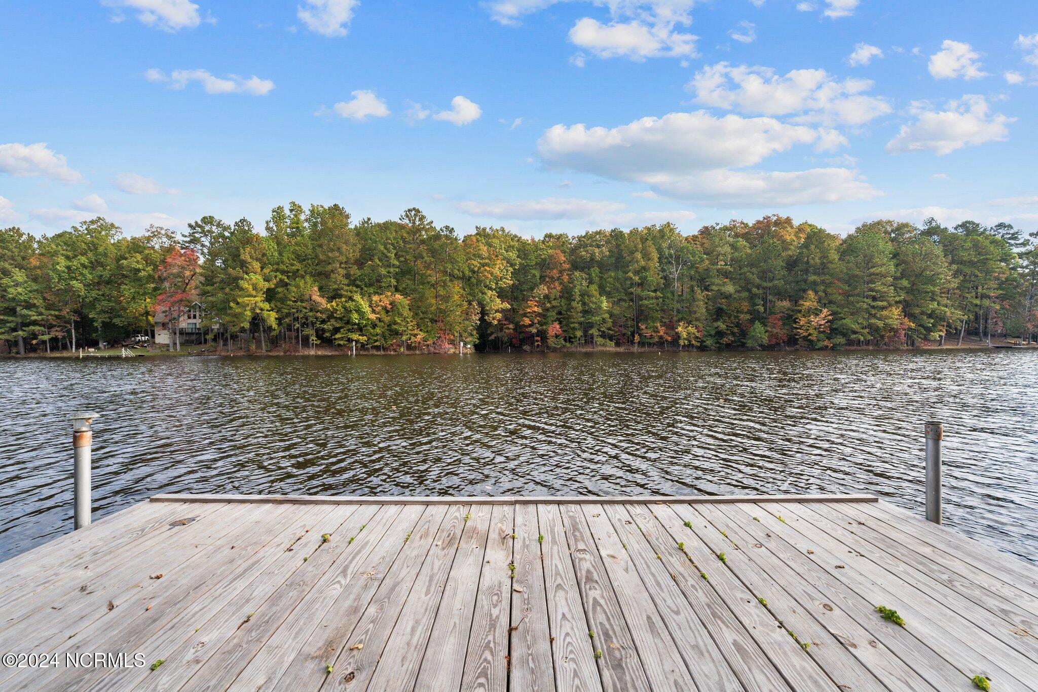 192 Palomino Road Carthage, NC 28327 - Photo 50 of 51 52-web-or-mls-DSC08259