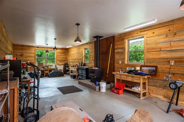 a view of a garden with a plant