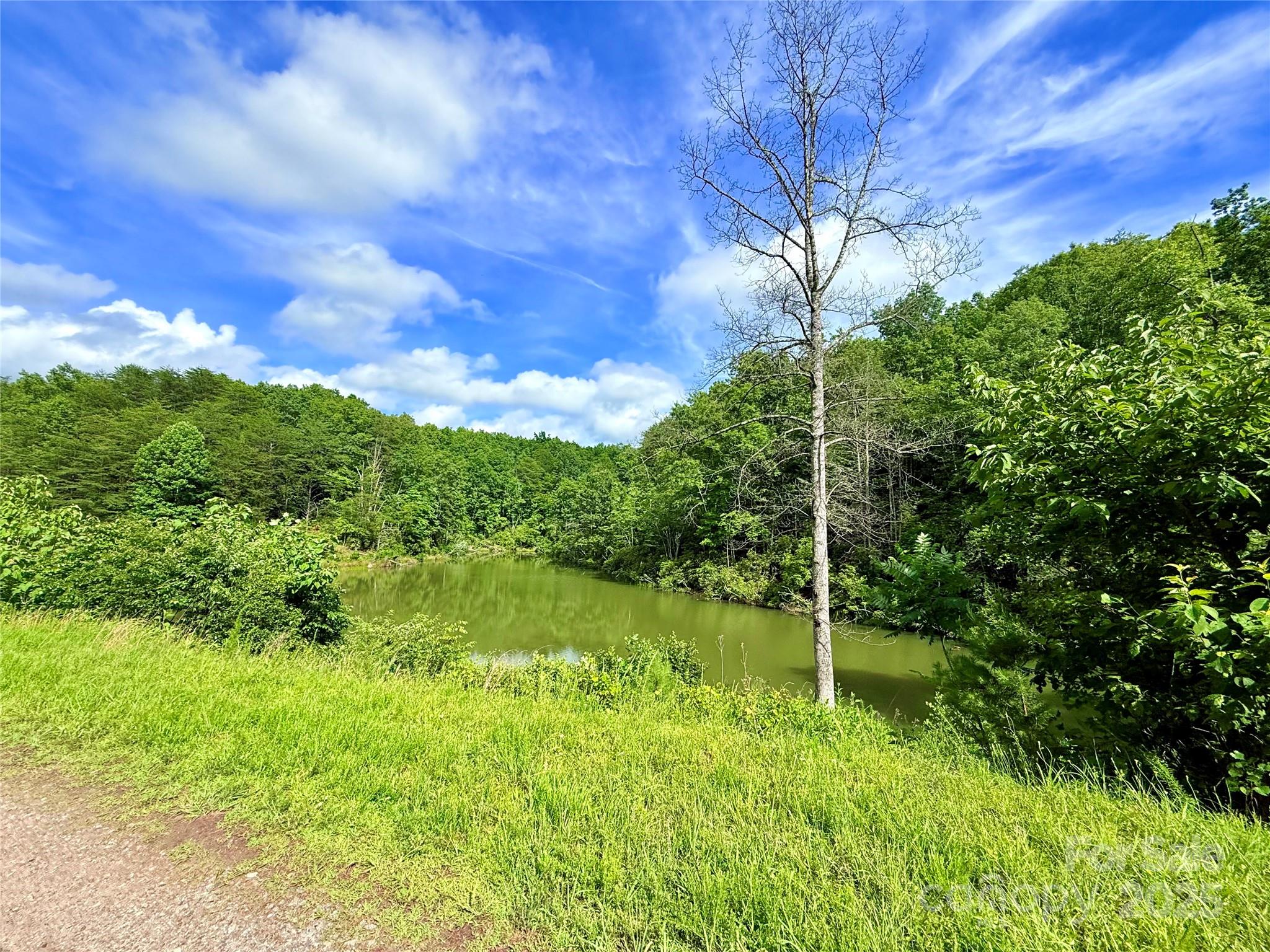 221 Summerfield Lane Rutherfordton, NC 28139 - Photo 12 of 37 a view of a lush green space