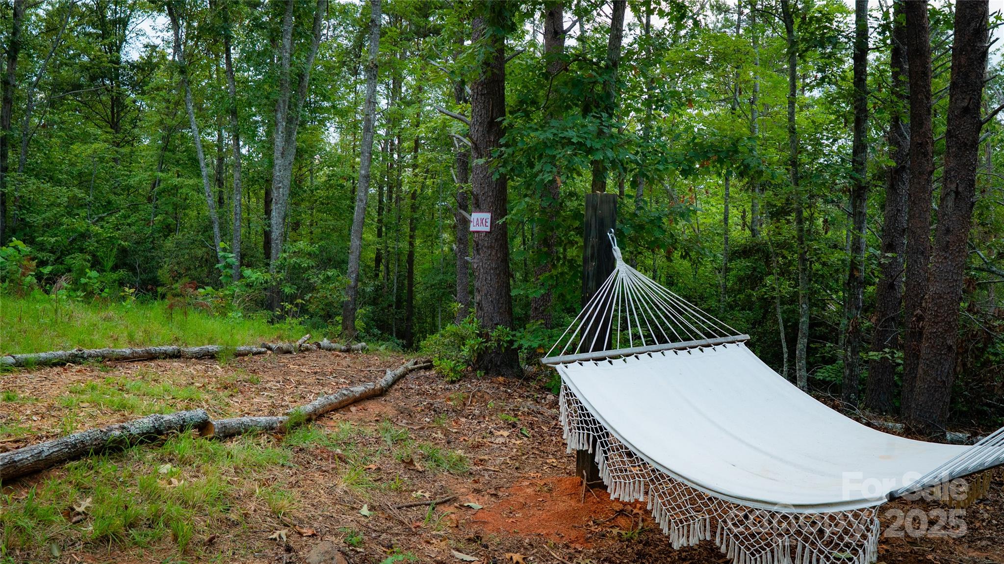 221 Summerfield Lane Rutherfordton, NC 28139 - Photo 6 of 37 a view of small yard in front of house