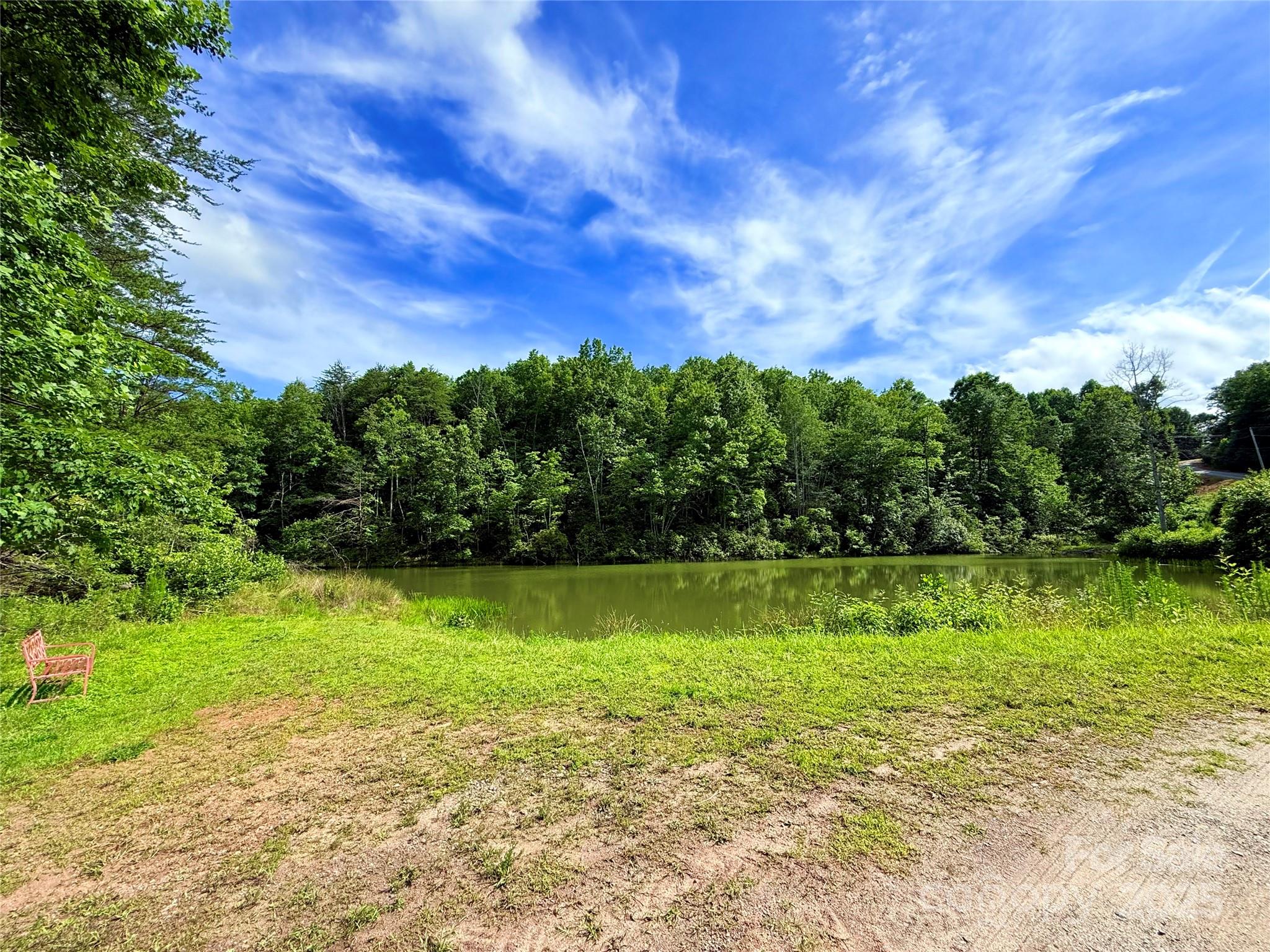 221 Summerfield Lane Rutherfordton, NC 28139 - Photo 10 of 37 a view of a trees with a yard