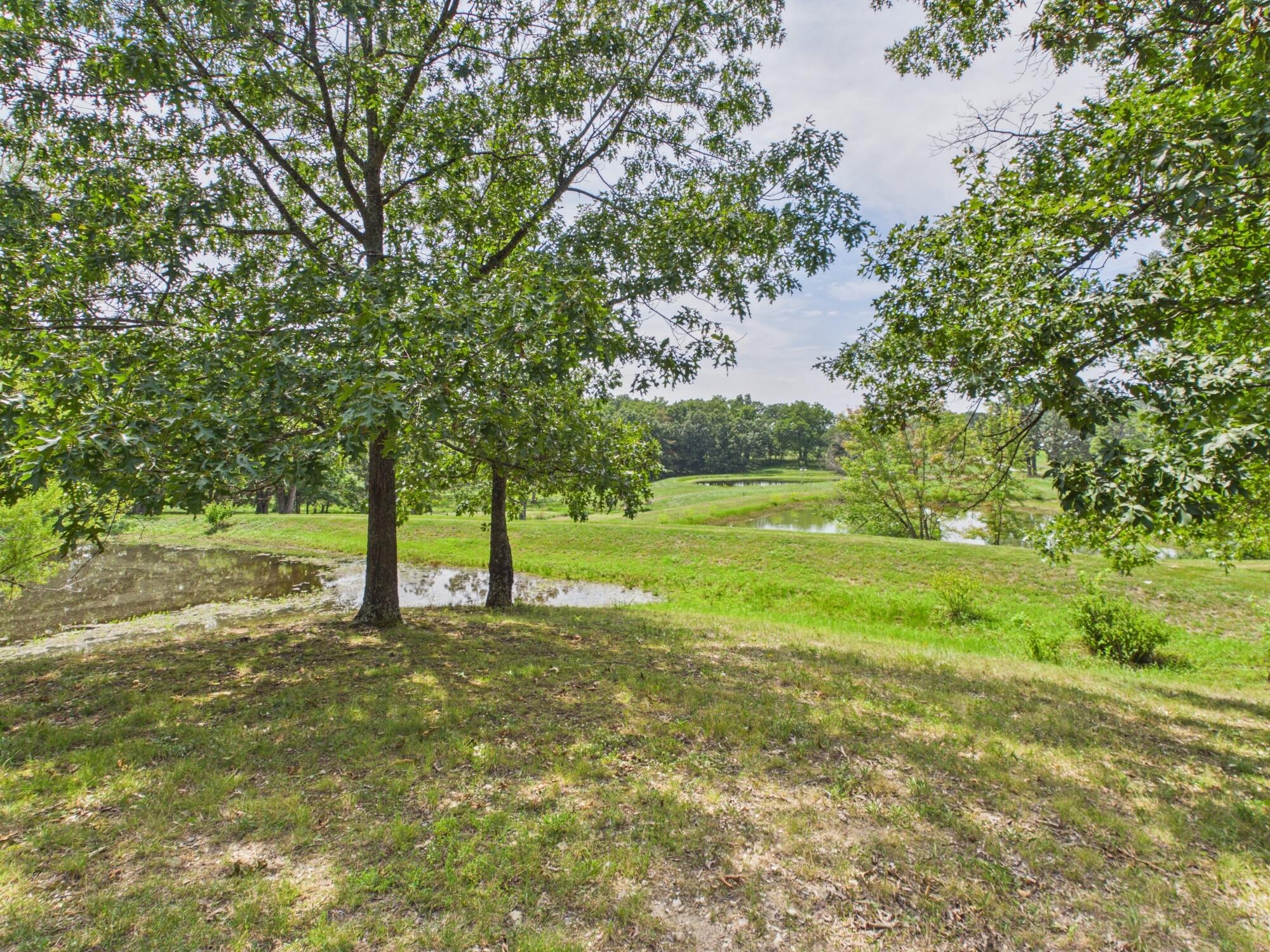 12283 Stave Mill Road Cabool, MO 65689 - Photo 143 of 150 CAM03368G0-PR0056-STILL147