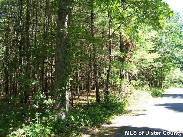 423 High Falls Road Saugerties, NY 12477 - Photo 4 of 6 Photo 4