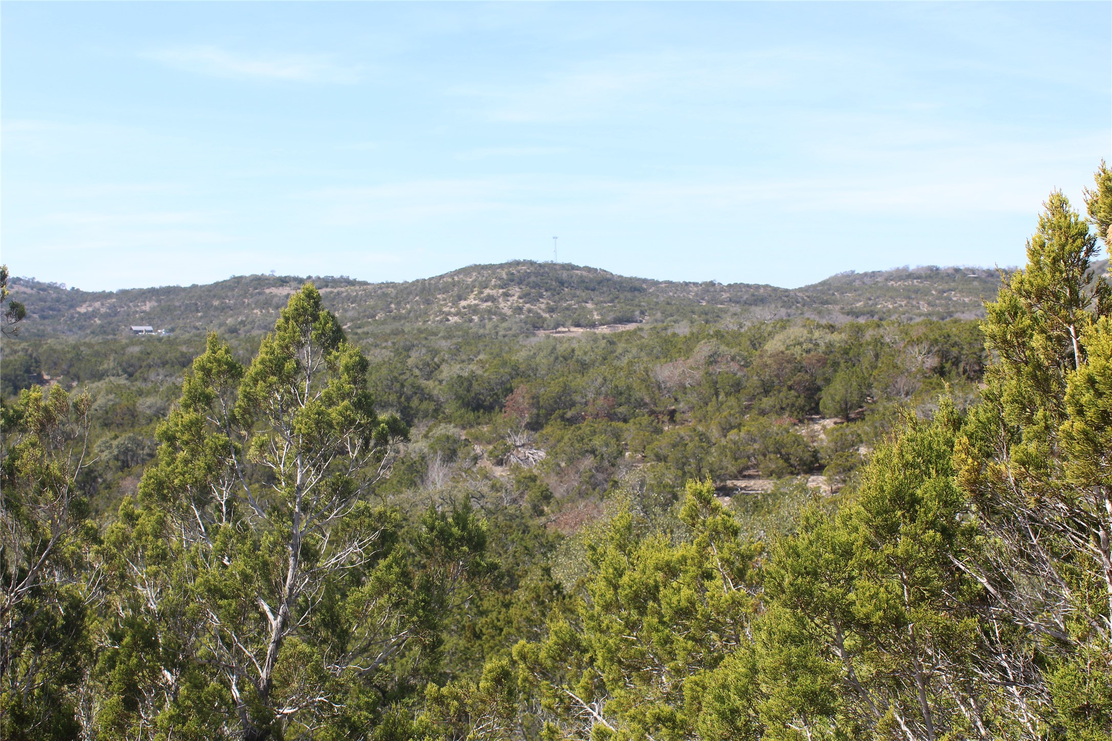 2102 Montell Road Wimberley, TX 78676 - Photo 11 of 18 a view of a mountain range with lush green forest