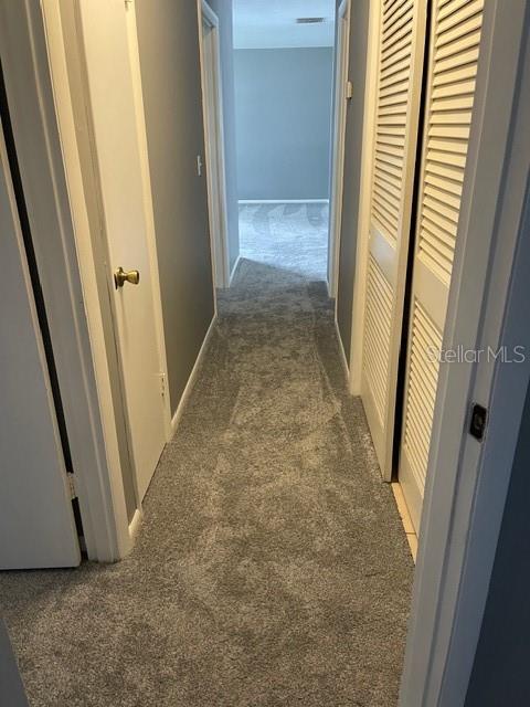 2501 Sheridan Road Mount Dora, FL 32757 - Photo 20 of 21 a view of a hallway
