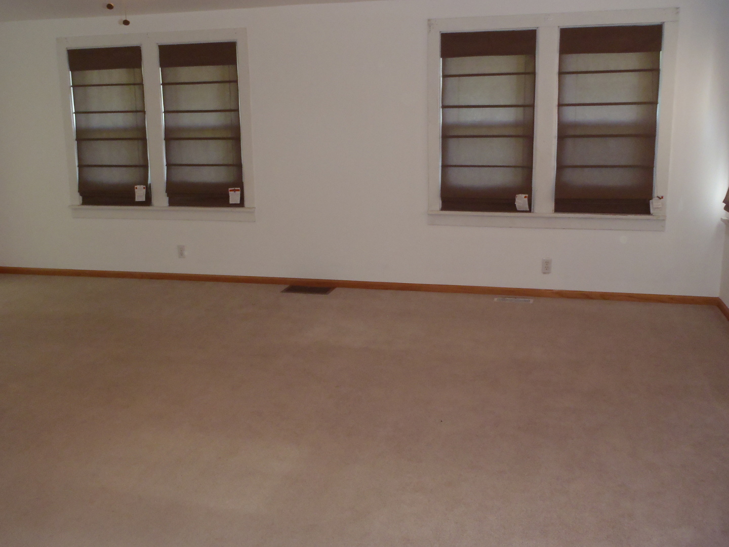 608 East Harrison Street Ransom, IL 60470 - Photo 4 of 13