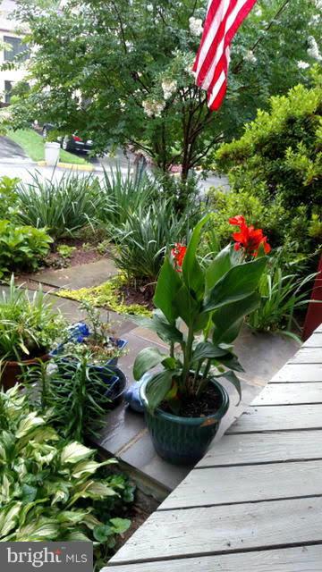 1416 Green Run Lane Reston, VA 20190 - Photo 25 of 29 a plant that is sitting in the ground