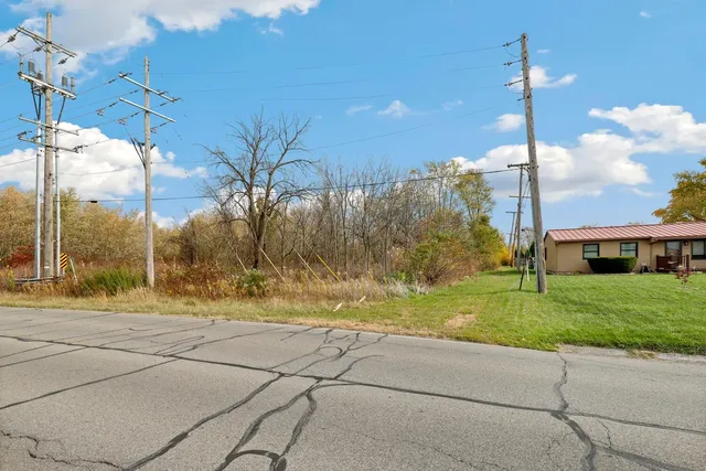 a view of a yard with palm tree