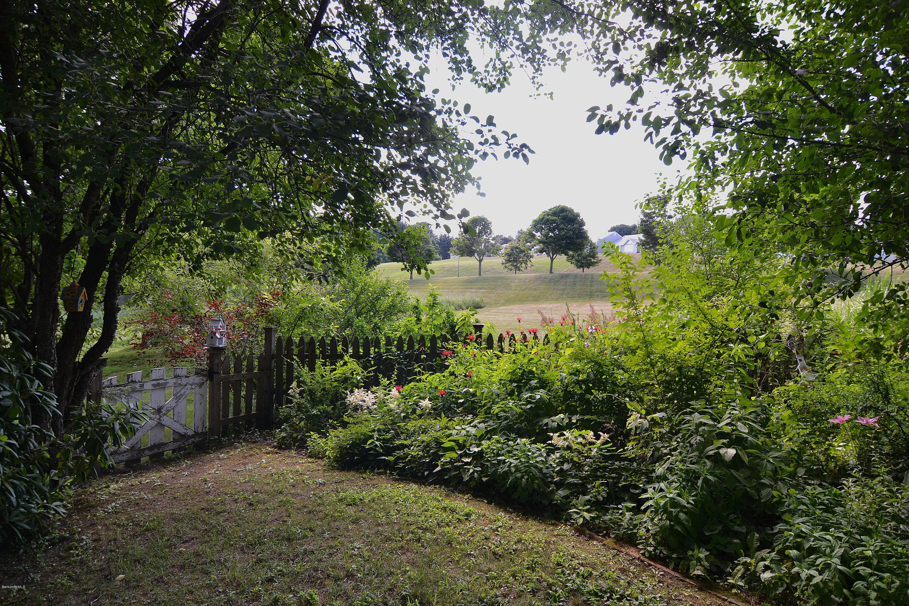 37 Valentine Road Pittsfield, MA 01201 - Photo 7 of 55 Backyard