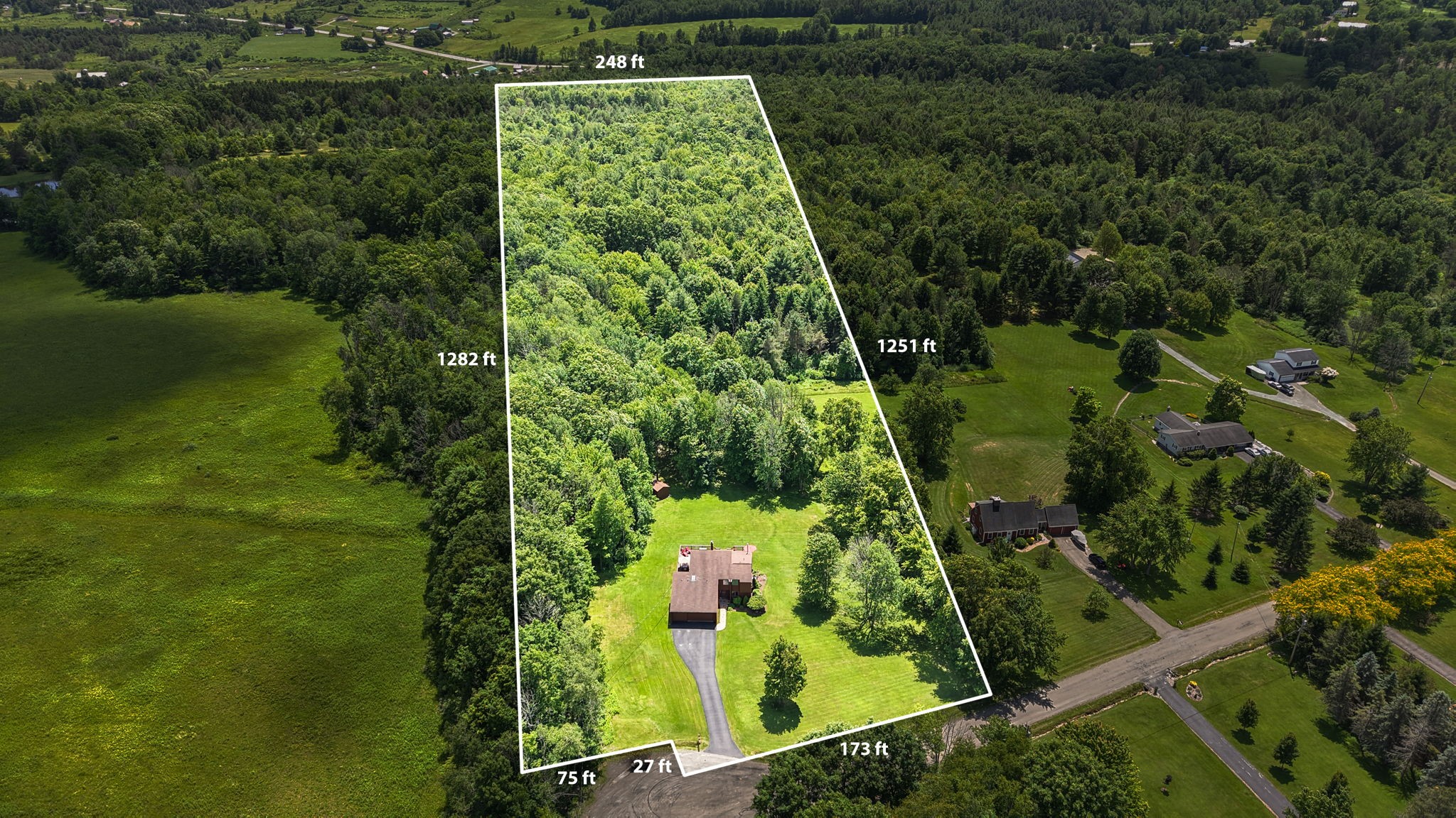 786 Harnecky Road Newark Valley, NY 13811 - Photo 4 of 50
