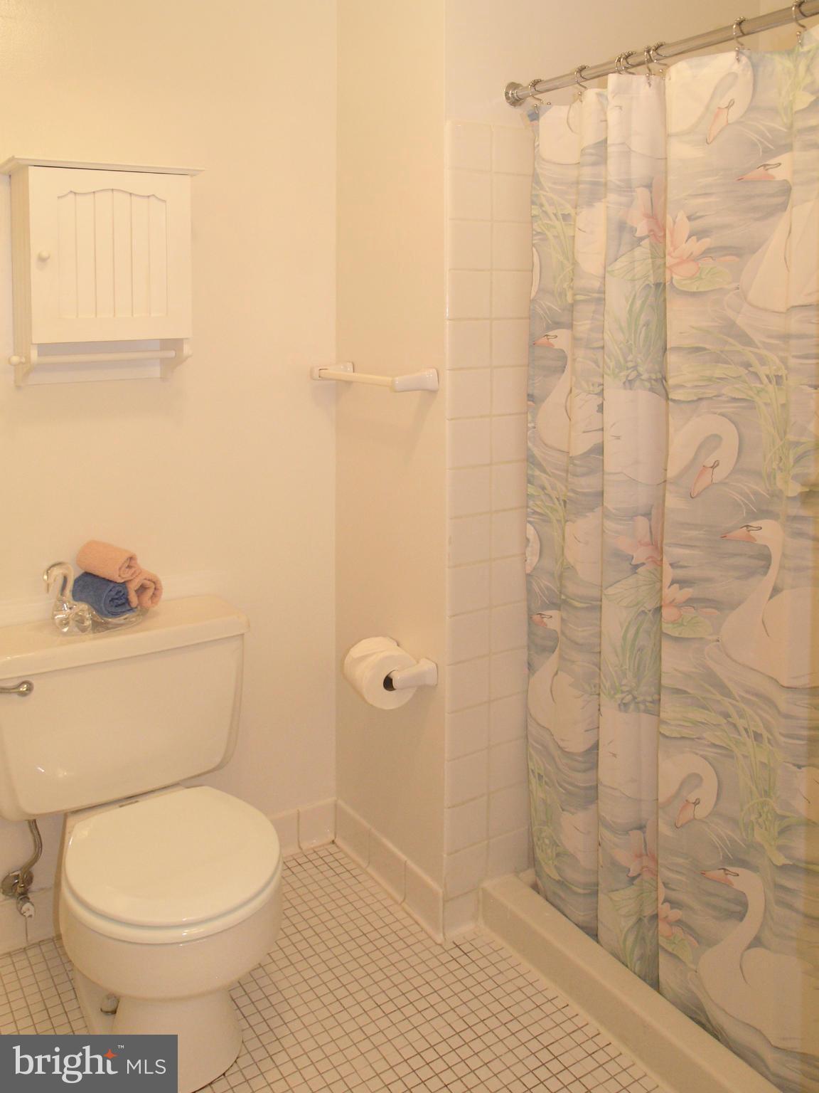 2255 Double Eagle Court Reston, VA 20191 - Photo 15 of 27 Bath