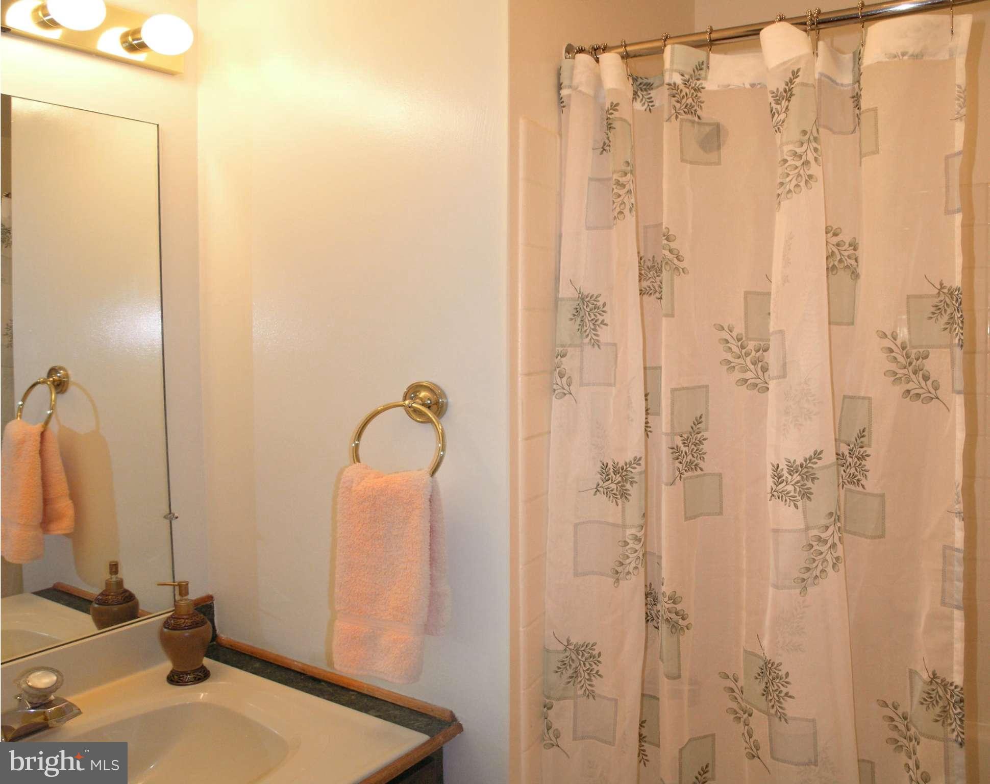 2255 Double Eagle Court Reston, VA 20191 - Photo 18 of 27 Bath (Master)