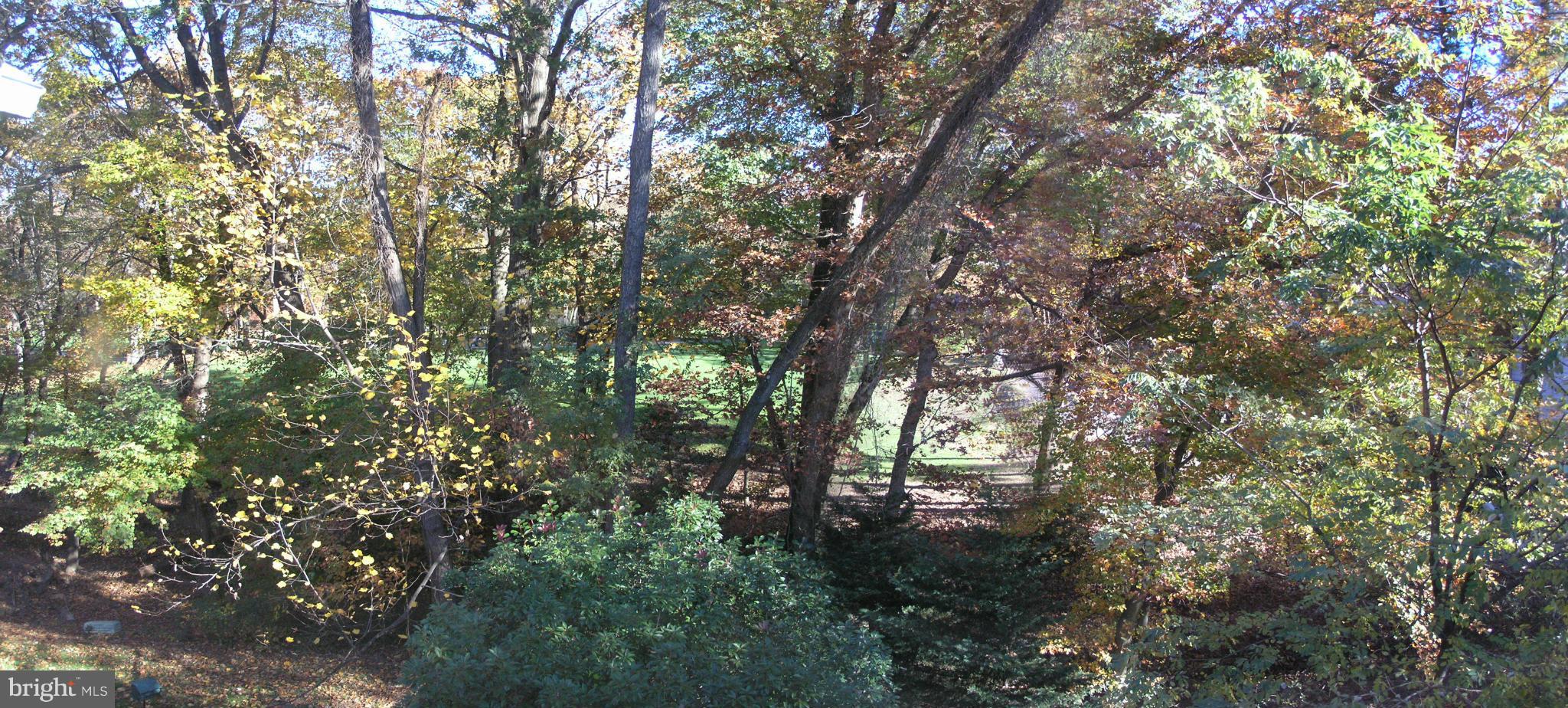 2255 Double Eagle Court Reston, VA 20191 - Photo 22 of 27 View of Golf Course through trees