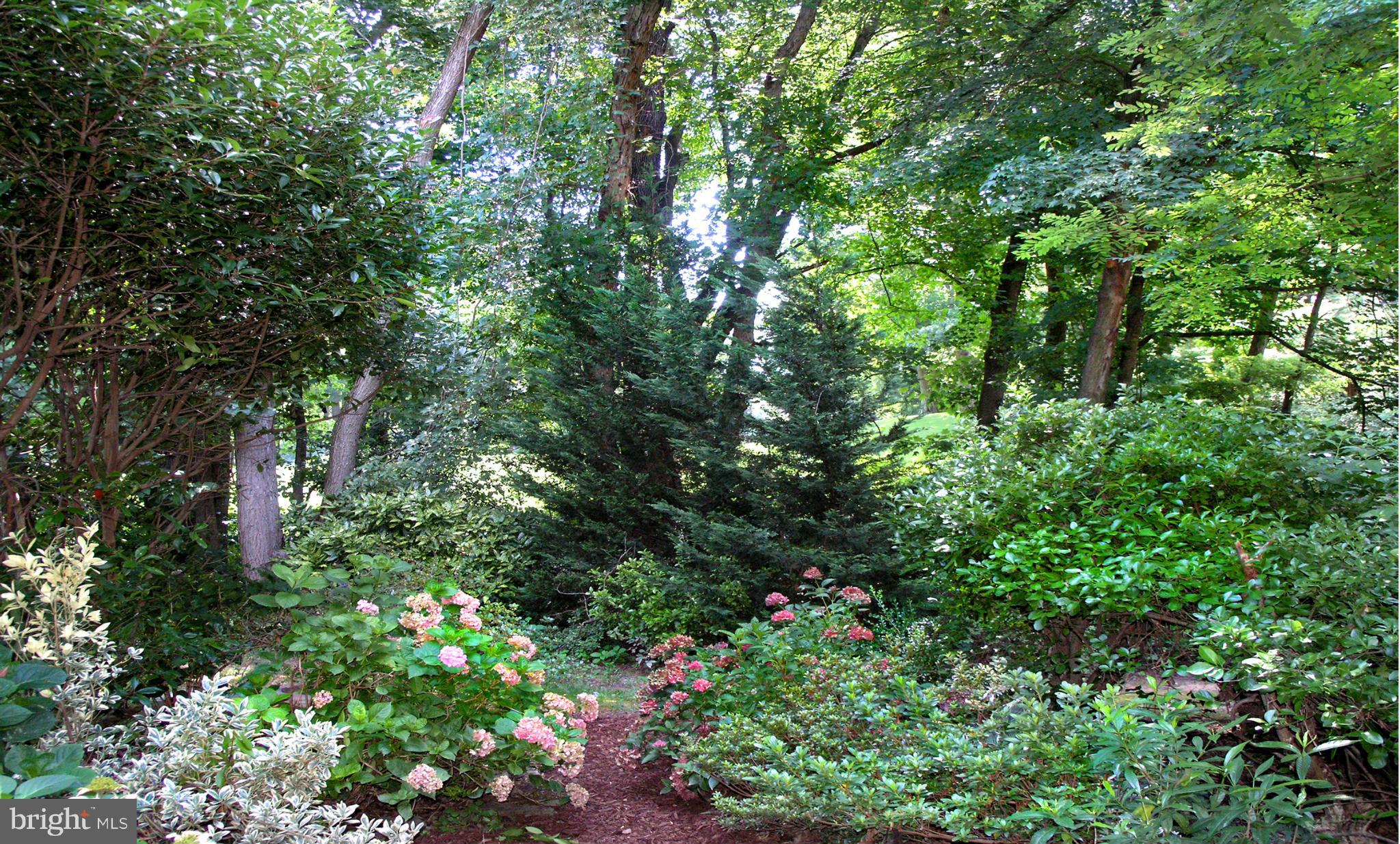 2255 Double Eagle Court Reston, VA 20191 - Photo 26 of 27 Backyard in Summertime