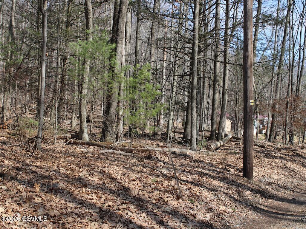 Squirrel Lane Shickshinny, PA 18655 - Photo 37 of 50