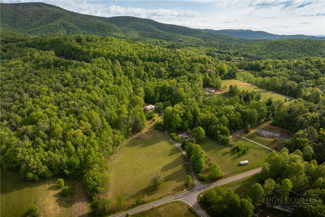 466 Stony Fork Road Deep Gap, NC 28618 - Photo 4 of 49
