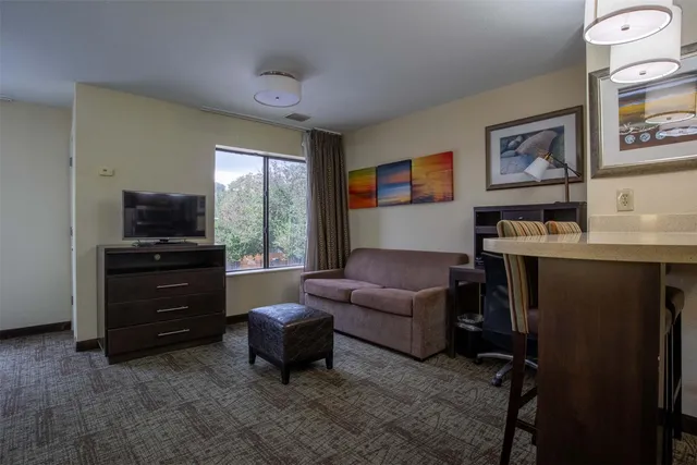 a spacious bedroom with a bed a couch and a view living room