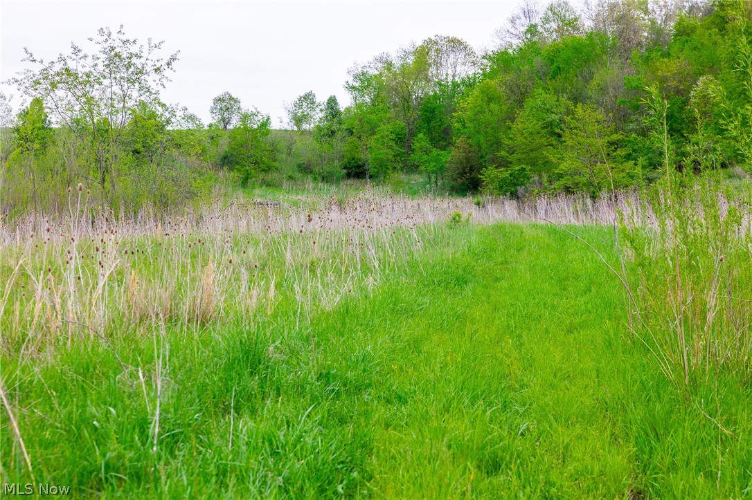 60936 Patch Road New Concord, OH 43762 - Photo 13 of 50