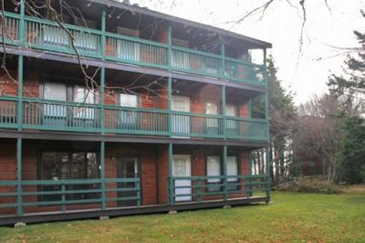 38 Ridgewood Street Snowshoe, WV 26209 - Photo 13 of 15 Back of Complex