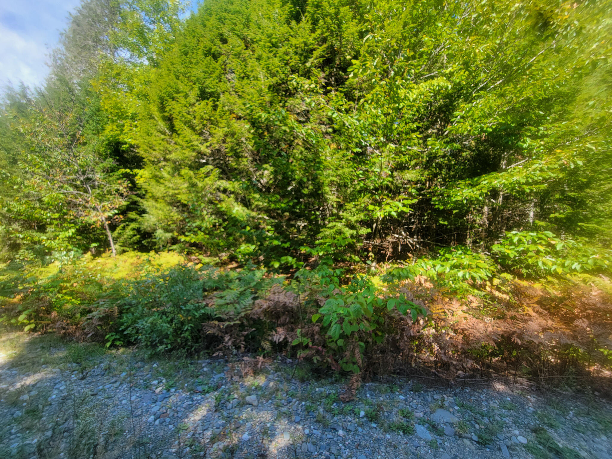 Tbd Tbd Chandler Road Enfield, ME 04493 - Photo 6 of 18 20220908_104610