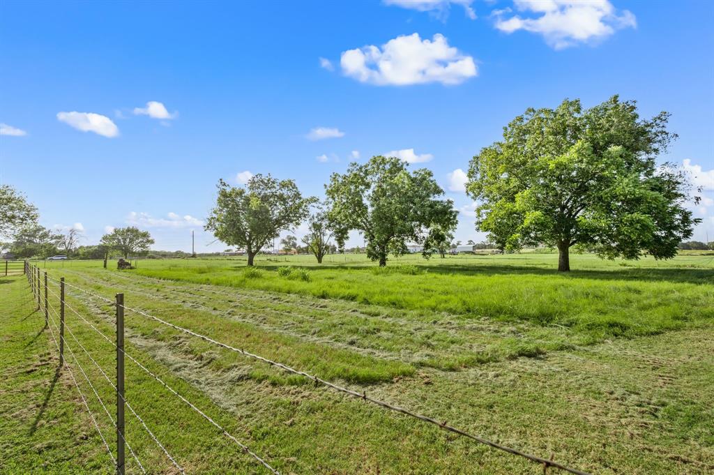 515 New Highland Road Springtown, TX 76082 - Photo 34 of 38 Expansive open field with scattered mature trees and a clear blue sky