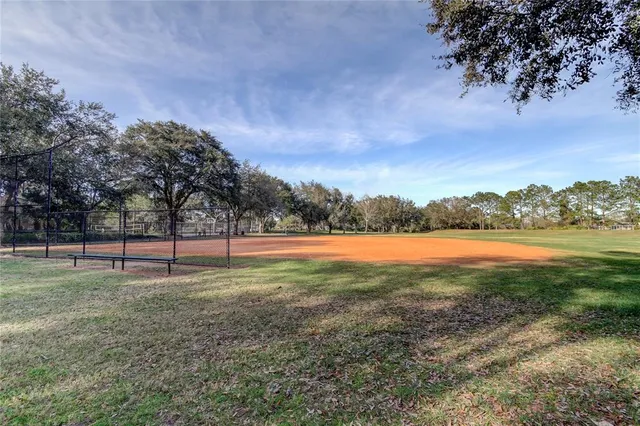 a view of green field