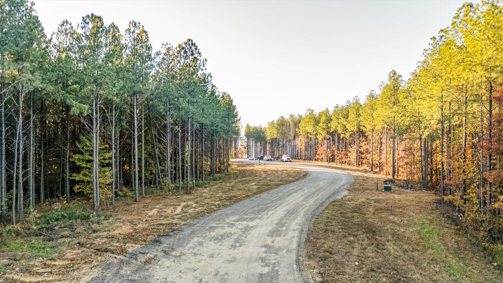 0 Legacy Drive, Unit LOT 1153 Guild, TN 37340 - Photo 2 of 27 01-Legacy Dr lot 1153-1