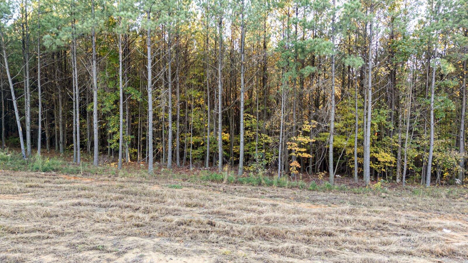 0 Legacy Drive, Unit LOT 1153 Guild, TN 37340 - Photo 4 of 27 03-Legacy Dr lot 1153-3