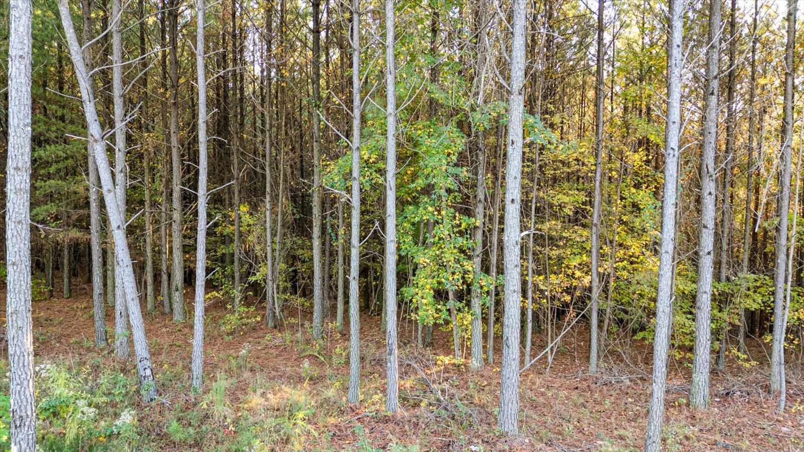 0 Legacy Drive, Unit LOT 1153 Guild, TN 37340 - Photo 5 of 27 04-Legacy Dr lot 1153-4