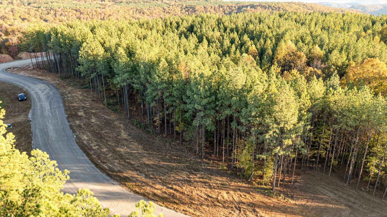 0 Legacy Drive, Unit LOT 1153 Guild, TN 37340 - Photo 7 of 27 06-Legacy Dr lot 1153-6