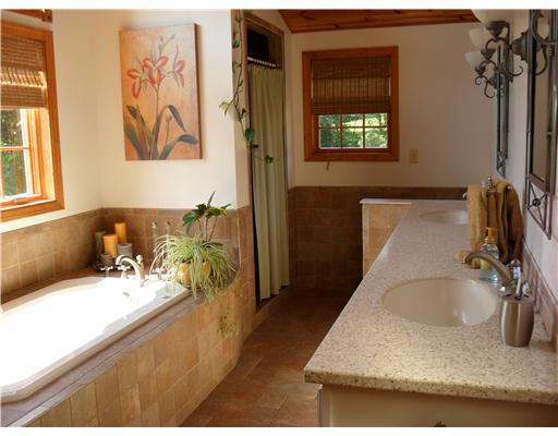 5600 Grubbs Road Gibsonia, PA 15044 - Photo 9 of 18 Master Bath/Spa.
