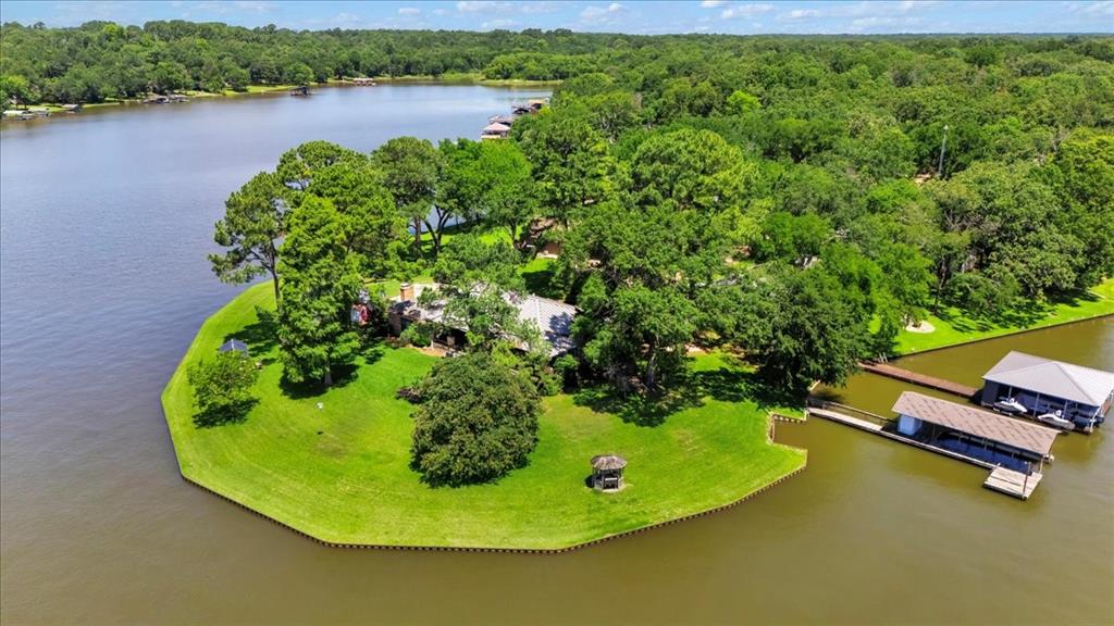 a view of a swimming pool with a yard and plants