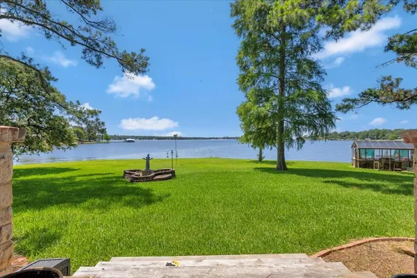 a view of a garden with a tree